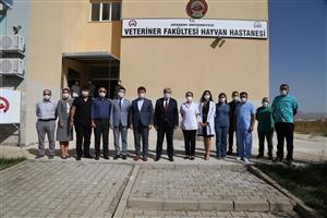Sahipsiz Hayvanlar Artık Sahipsiz Değil